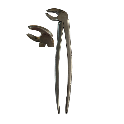 Щ-173 Stomatological forceps №22